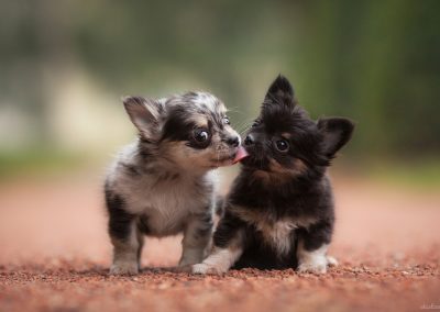 stock-photo-125037925-1500x1000-maria560-39538774-1500-1000
